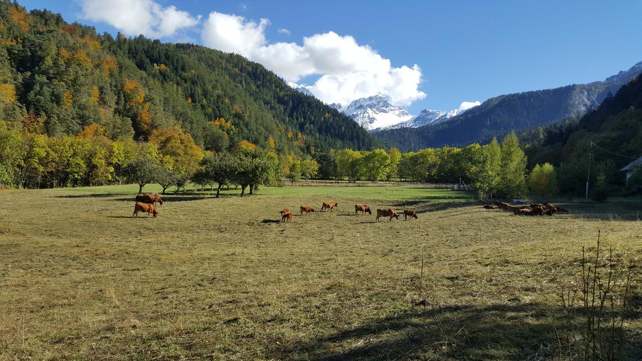 Gite De Boscodon Crots Esterno foto