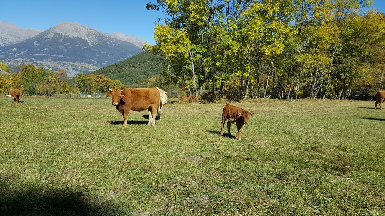 Gite De Boscodon Crots Esterno foto